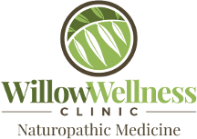 Willowwellness logo 1b transparent 3be527b7b73e23ba6317071cbceb13198a1dff5075c4a00c4d56d1113cf95a8a